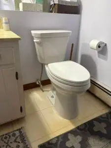 Toilet Replacement Service in Ashford